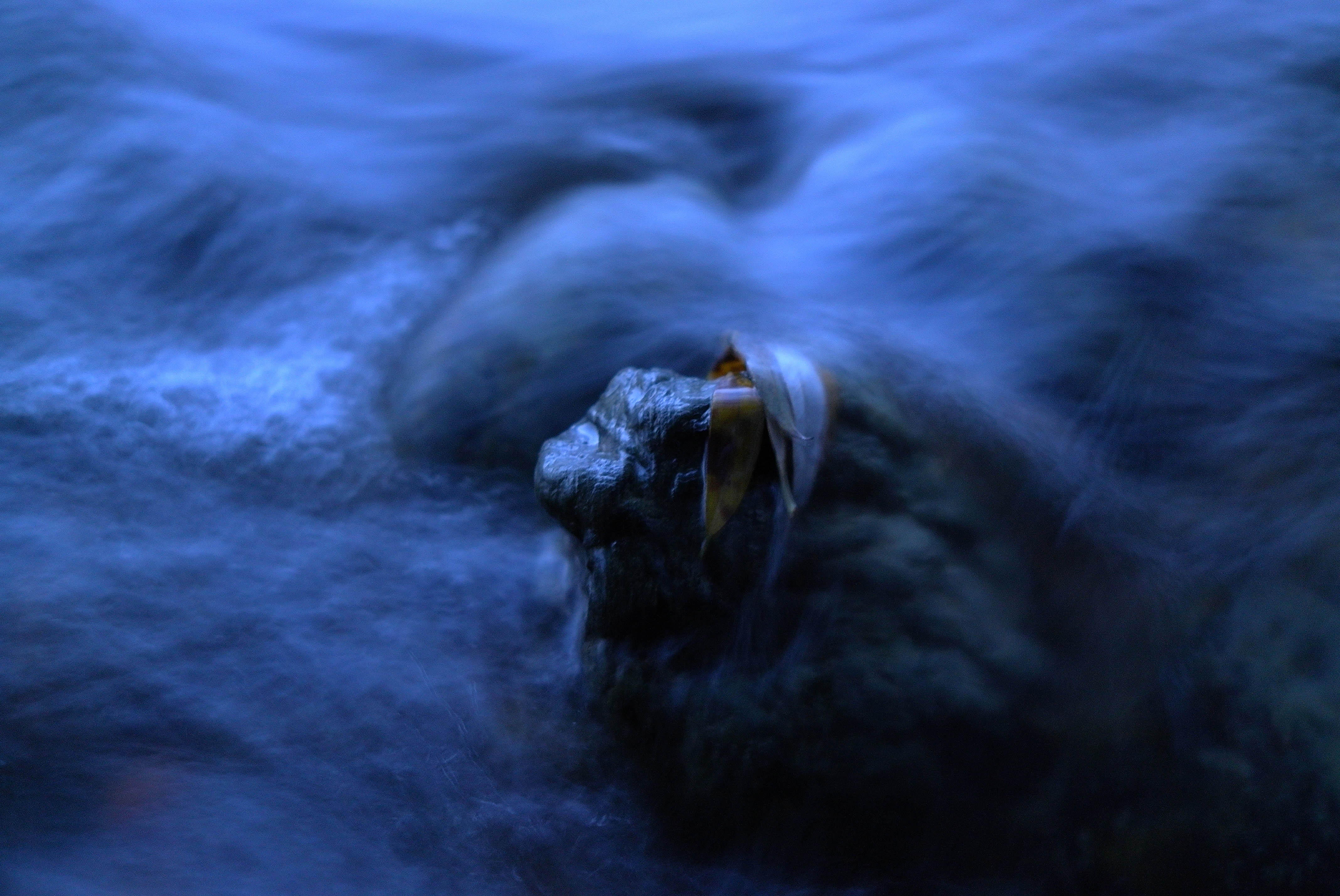 Be Water. CREDIT: Alenka Slavinec